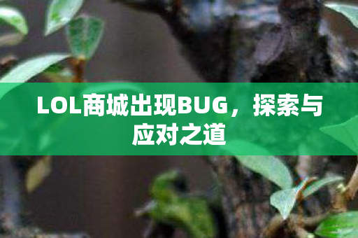 LOL商城出现BUG图片