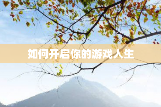如何开启你的游戏人生图片