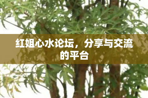 分享与交流的平台图片