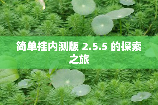 简单挂内测版 2图片