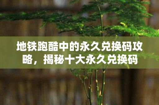 地铁跑酷中的永久兑换码攻略图片