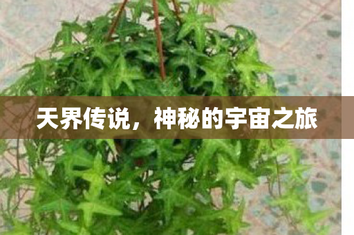 神秘的宇宙之旅图片