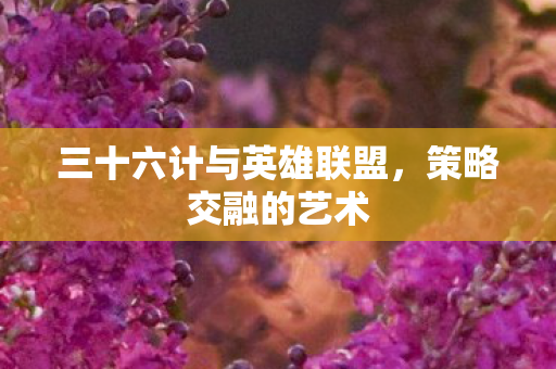三十六计与英雄联盟图片