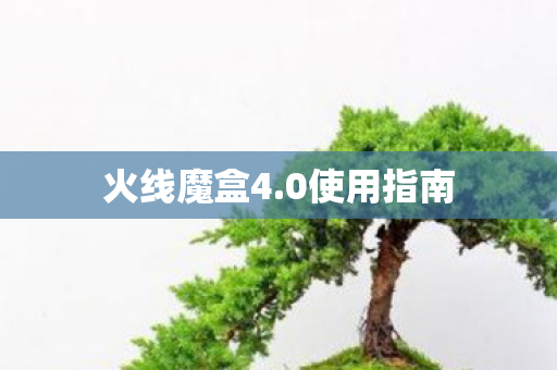 火线魔盒4图片