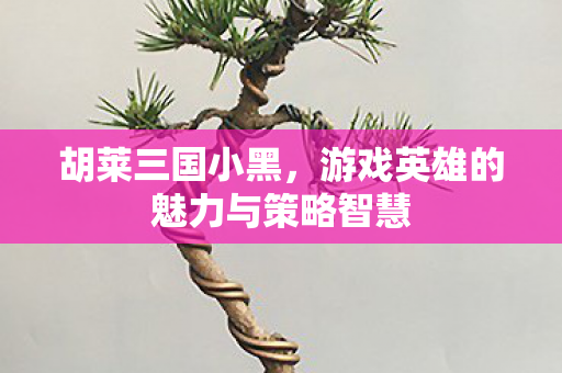 游戏英雄的魅力与策略智慧图片