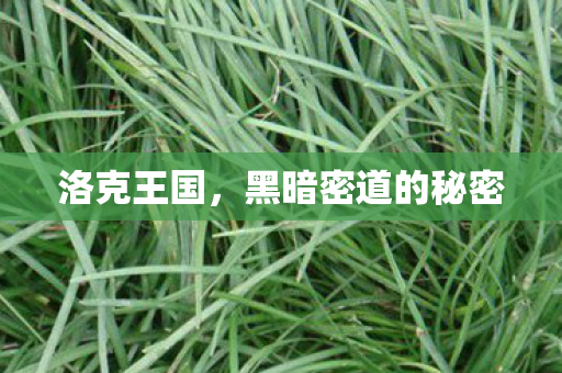 黑暗密道的秘密图片