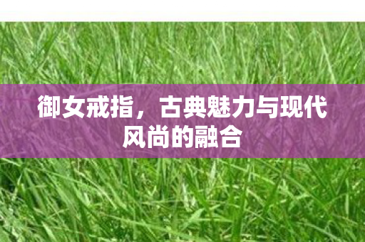 古典魅力与现代风尚的融合图片