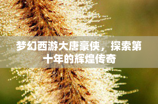 探索第十年的辉煌传奇图片