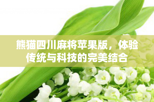 体验传统与科技的完美结合图片