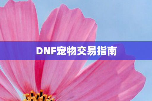 DNF宠物交易指南图片