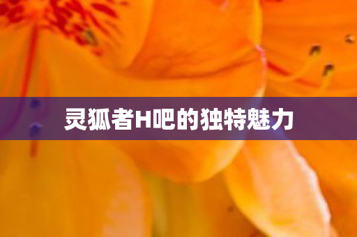 灵狐者H吧的独特魅力图片