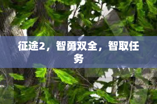 智勇双全图片
