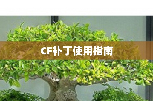 CF补丁使用指南图片