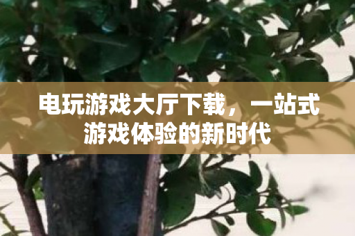 一站式游戏体验的新时代图片