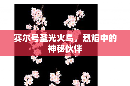 烈焰中的神秘伙伴图片