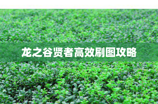 龙之谷贤者高效刷图攻略图片