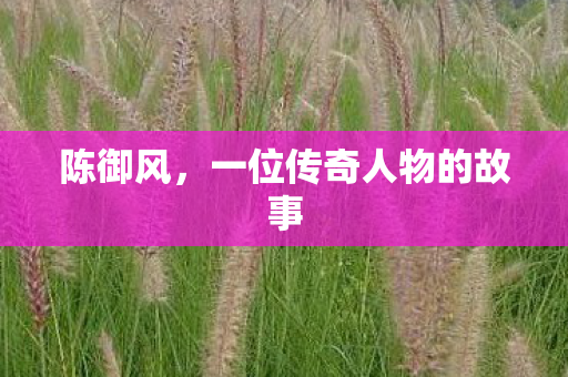 一位传奇人物的故事图片