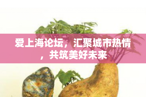 汇聚城市热情图片