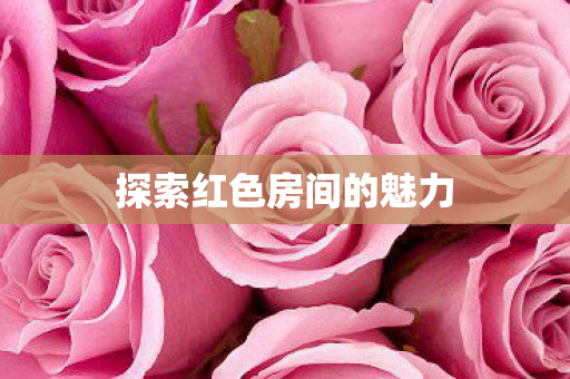 探索红色房间的魅力图片