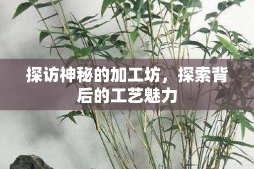 探索背后的工艺魅力图片