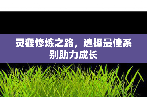 选择最佳系别助力成长图片