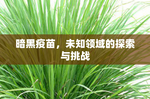 未知领域的探索与挑战图片