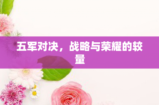 战略与荣耀的较量图片