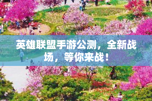英雄联盟手游公测图片