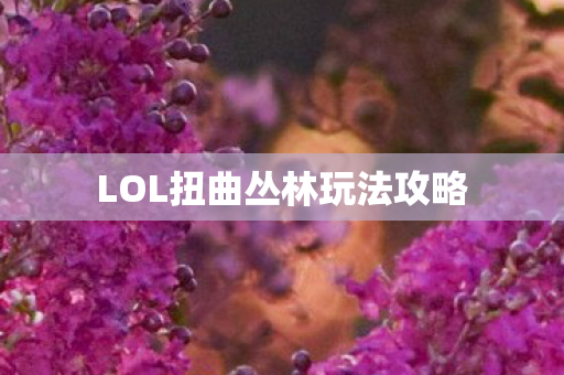 LOL扭曲丛林玩法攻略图片