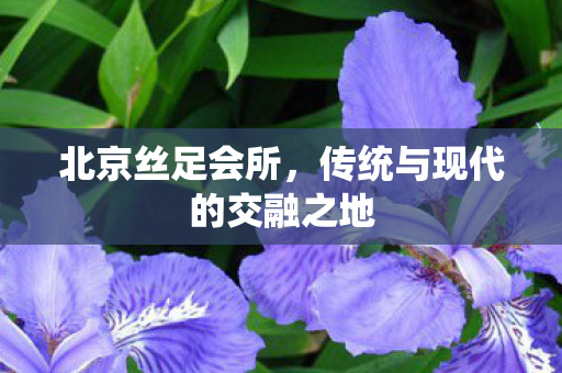 传统与现代的交融之地图片