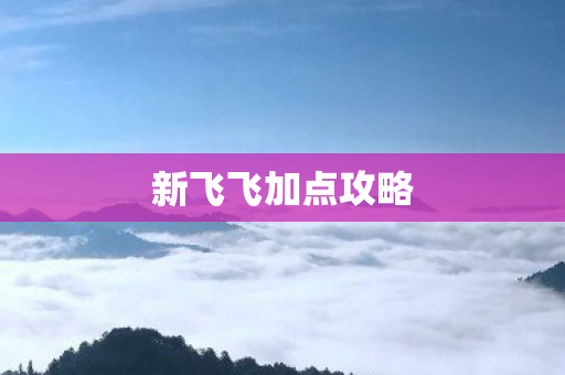 新飞飞加点攻略图片
