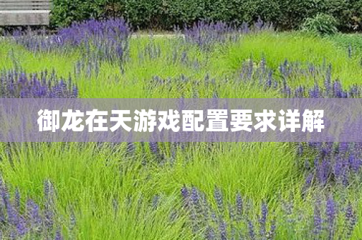 御龙在天游戏配置要求详解图片