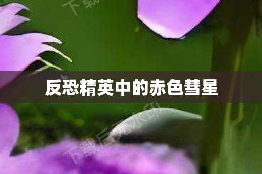 反恐精英中的赤色彗星图片