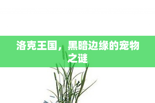 黑暗边缘的宠物之谜图片