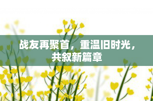 战友再聚首图片