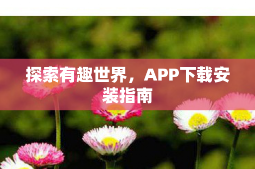 APP下载安装指南图片