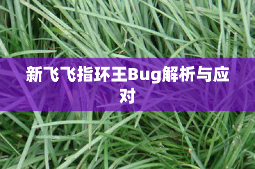新飞飞指环王Bug解析与应对图片