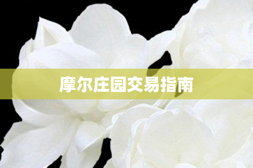 摩尔庄园交易指南图片