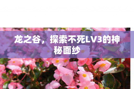 探索不死LV3的神秘面纱图片