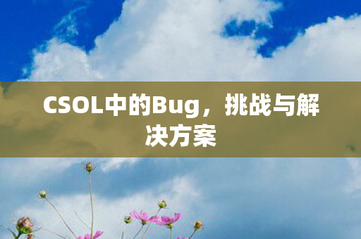 CSOL中的Bug图片