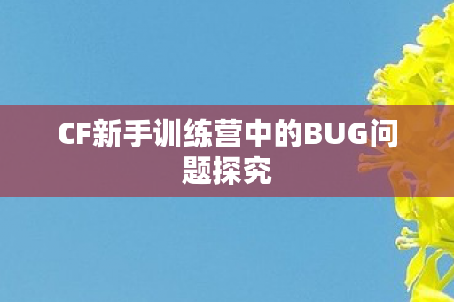 CF新手训练营中的BUG问题探究图片