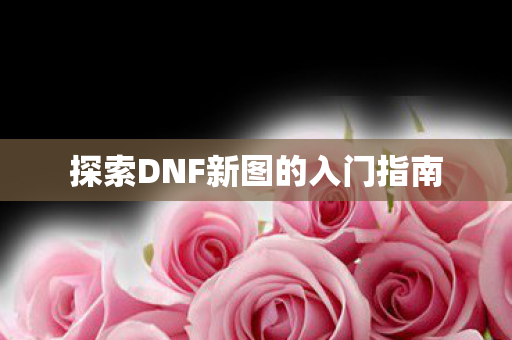探索DNF新图的入门指南图片