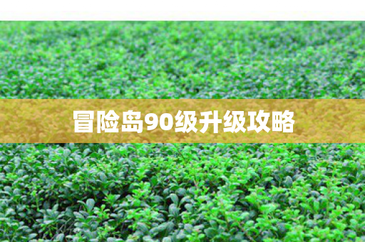 冒险岛90级升级攻略图片