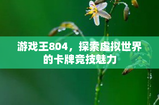 探索虚拟世界的卡牌竞技魅力图片