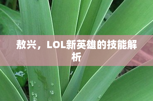 LOL新英雄的技能解析图片