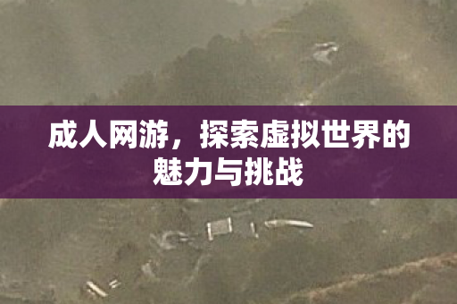 探索虚拟世界的魅力与挑战图片