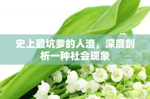 深度剖析一种社会现象图片