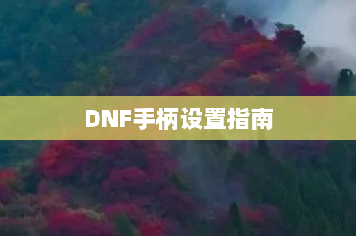DNF手柄设置指南图片