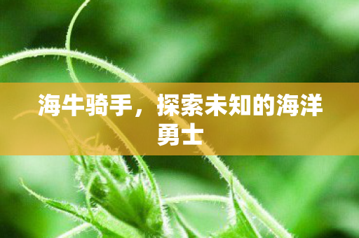 探索未知的海洋勇士图片