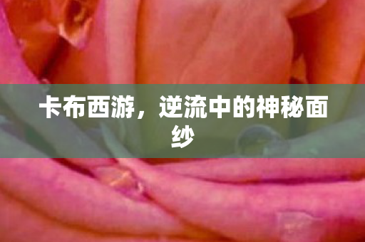 逆流中的神秘面纱图片